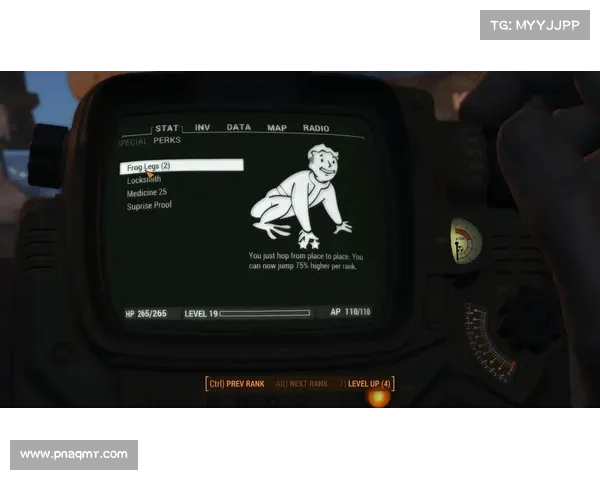 辐射4版本号查询方法